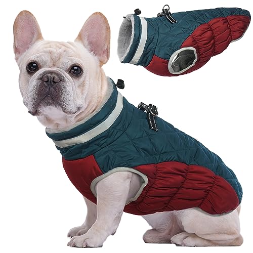Kuoser Wärme hundemantel, Winddicht hundejacke, Reflektierend hundemantel für kleine Hunde, hundemantel Winter Draußen, Hundemantel Grosse Hunde Mit Reißverschluss Blau XS Kuoser Wärme hundemantel, Winddicht hundejacke, Reflektierend hundemantel für kleine Hunde, hundemantel Winter Draußen, Hundemantel Grosse Hunde Mit Reißverschluss Blau XS von Kuoser