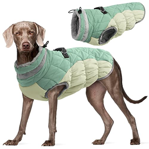 Kuoser Wärme hundemantel, Winddicht hundejacke, Reflektierend hundemantel für kleine Hunde, hundemantel Winter Draußen, Hundemantel Grosse Hunde Mit Reißverschluss Grün L von Kuoser