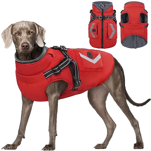 Kuoser Hundemantel,Hundemantel Für Kleine Hunde, Wasserdicht Hundemantel Winter, Hundejacke, Hundemantel Grosse Hunde, Hundemantel Mit Geschirr Blau XXXL von Kuoser