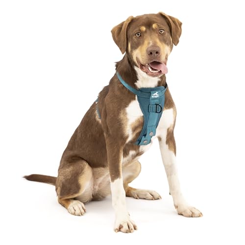 Kurgo Tru-Fit Hundegeschirr, Crash-Test-erprobtes Auto-Sicherheitsgurt, Für Hunde von 2 bis 5 kg, Größe M, Tinte Blau von Kurgo