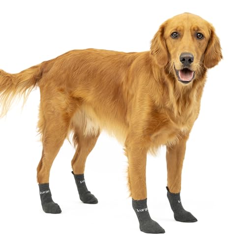 Kurgo Blaze Hundesocken, Für bessere Passform der Kurgo Blaze Hundeschuhe, Leicht & atmungsaktiv, Größe M, Grau (4er-Pack) von Kurgo