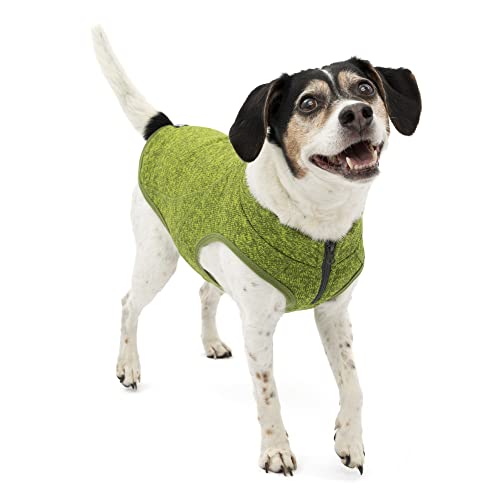 Kurgo Core Hundepullover, gestrickter Hundepullover mit Fleecefutter, Haustierjacke für kaltes Wetter, Reißverschlussöffnung für Geschirr, Verstellbarer Hals, ganzjähriger Pullover für kleine Hunde, von Kurgo