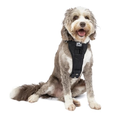 Kurgo Tru-Fit Hundegeschirr, Crash-Test-erprobtes Auto-Sicherheitsgurt, Für Hunde von 23 bis 36 kg, Größe L, Schwarz von Kurgo
