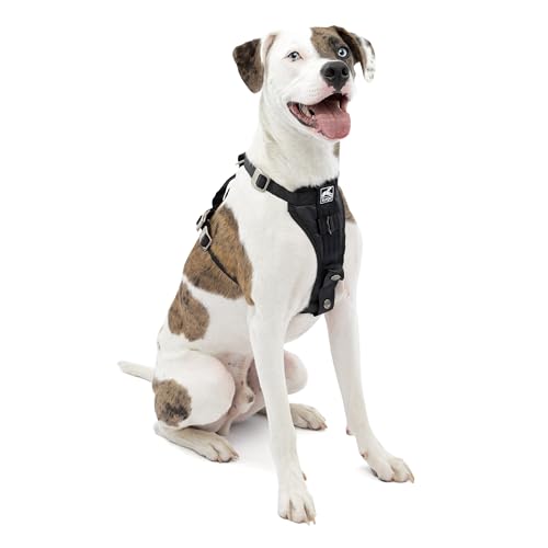Kurgo Tru-Fit Hundegeschirr, Crash-Test-erprobtes Auto-Sicherheitsgurt, Für Hunde von 11 bis 23 kg, Größe M, Schwarz von Kurgo