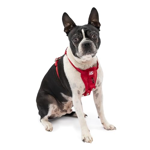 Kurgo Tru-Fit Hundegeschirr, Crash-Test-erprobtes Auto-Sicherheitsgurt, Für Hunde von 5 bis 11 kg, Größe S, Rot von Kurgo
