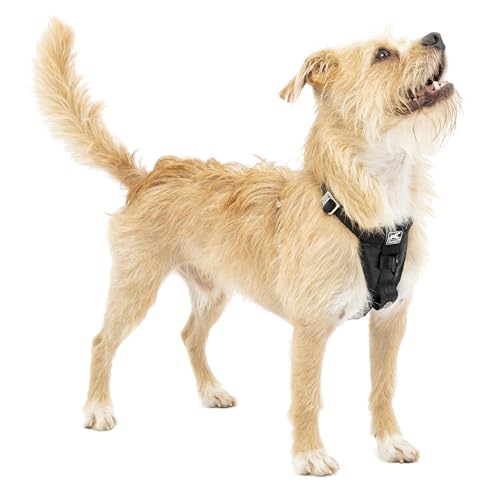 Kurgo Tru-Fit Hundegeschirr, Crash-Test-erprobtes Auto-Sicherheitsgurt, Für Hunde von 2 bis 5 kg, Größe S, Schwarz von Kurgo