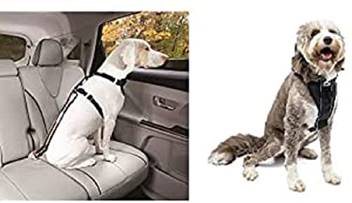 Kurgo Gurtschloss-Hundegurt fürs Auto, Kompatibel mit TRU-Fit Hundegeschirr + Kurgo TRU-Fit Smart Hundegeschirr, Mit gepolstertem Brustteil und D-Ring, Inklusive Autosicherheitsgurt von Kurgo