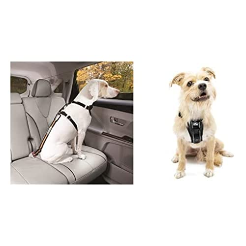 Kurgo Gurtschloss-Hundegurt fürs Auto, Kompatibel mit TRU-Fit Hundegeschirr + Kurgo TRU-Fit Smart Hundegeschirr von Kurgo