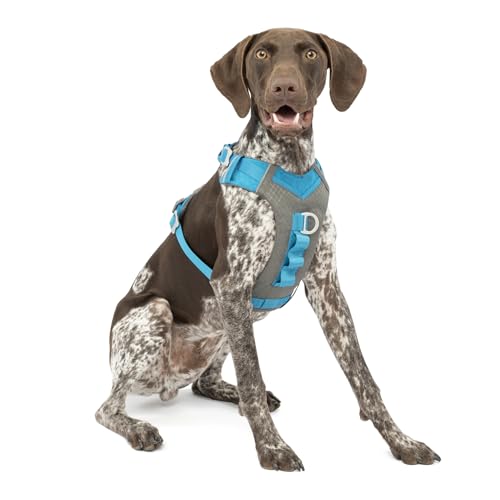 Kurgo Journey Air Hundegeschirr, Mit gepolstertem Brustteil und Rückgriff, Für Hunde von 11-23 kg, Größe M, Blau/Grau von Kurgo