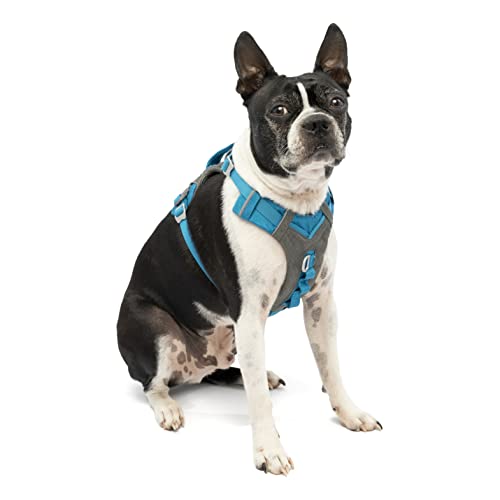 Kurgo Journey Air Hundegeschirr, Mit gepolstertem Brustteil und Rückgriff, Für Hunde von 5-11 kg, Größe S, Blau/Grau Kurgo Journey Air Hundegeschirr, Mit gepolstertem Brustteil und Rückgriff, Für Hunde von 5-11 kg, Größe S, Blau/Grau von Kurgo