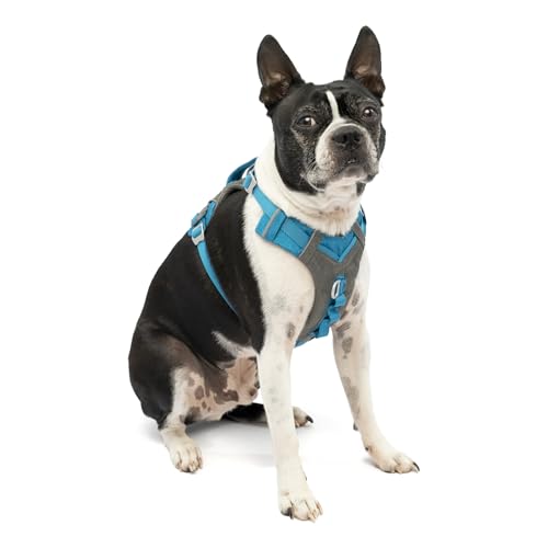 Kurgo Journey Air Hundegeschirr, Mit gepolstertem Brustteil und Rückgriff, Für Hunde von 2-5 kg, Größe XS, Blau/Grau von Kurgo