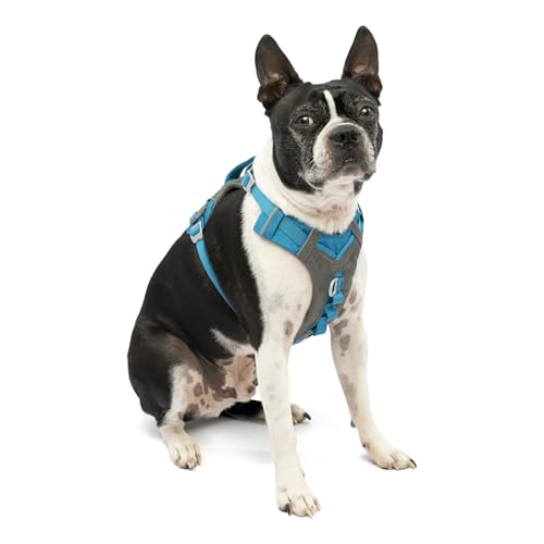 Kurgo Journey Air Hundegeschirr, Mit gepolstertem Brustteil und Rückgriff, Für Hunde von 2-5 kg, Größe XS, Blau/Grau Kurgo Journey Air Hundegeschirr, Mit gepolstertem Brustteil und Rückgriff, Für Hunde von 2-5 kg, Größe XS, Blau/Grau von Kurgo