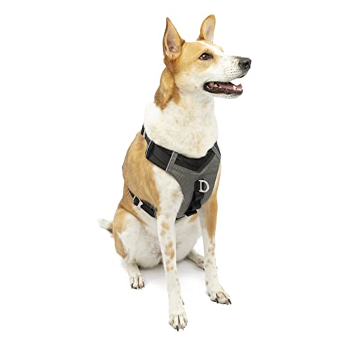 Kurgo Journey Air Hundegeschirr, Mit gepolstertem Brustteil und Rückgriff, Für Hunde von 34-47 kg, Größe XL, Schwarz/Grau Kurgo Journey Air Hundegeschirr, Mit gepolstertem Brustteil und Rückgriff, Für Hunde von 34-47 kg, Größe XL, Schwarz/Grau von Kurgo