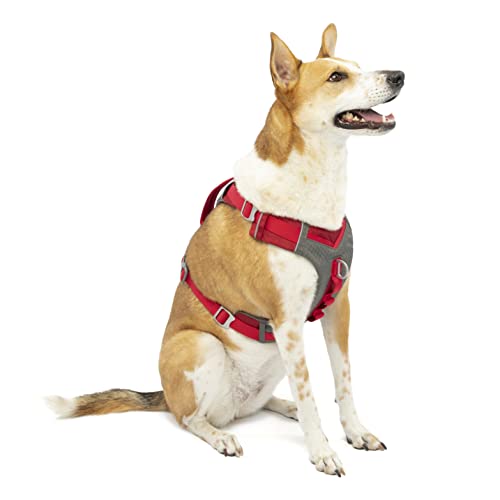 Kurgo Journey Air Hundegeschirr, Mit gepolstertem Brustteil und Rückgriff, Für Hunde von 23-34 kg, Größe L, Rot/Grau Kurgo Journey Air Hundegeschirr, Mit gepolstertem Brustteil und Rückgriff, Für Hunde von 23-34 kg, Größe L, Rot/Grau von Kurgo