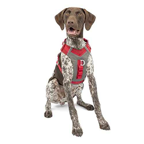 Kurgo Journey Air Hundegeschirr, Mit gepolstertem Brustteil und Rückgriff, Für Hunde von 11-23 kg, Größe M, Rot/Grau Kurgo Journey Air Hundegeschirr, Mit gepolstertem Brustteil und Rückgriff, Für Hunde von 11-23 kg, Größe M, Rot/Grau von Kurgo
