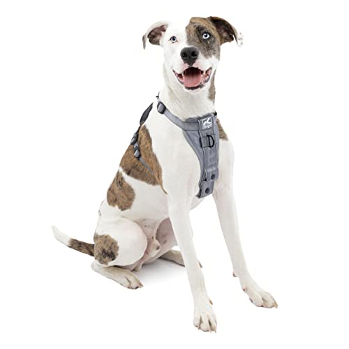 Kurgo Hundegeschirr | Pet Walking Harness | No Pull Harness Front Clip Funktion für Training enthalten | Auto Sicherheitsgurt | TRU-Fit Quick Release Style | Medium | Grau von Kurgo