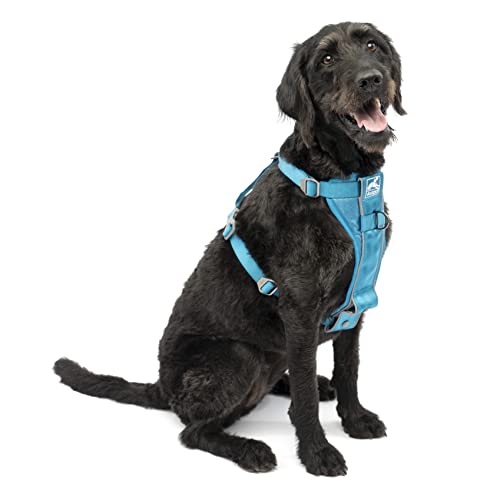 Kurgo Hundegeschirr | Pet Walking Harness | No Pull Harness Front Clip Funktion für Training enthalten | Auto Sicherheitsgurt | TRU-Fit Schnellverschluss Stil | Groß | Blau von Kurgo