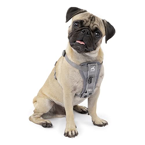 Kurgo Hundegeschirr | Pet Walking Harness | No Pull Harness Front Clip Funktion für Training enthalten | Auto Sicherheitsgurt | TRU-Fit Schnellverschluss Stil | Klein | Grau von Kurgo