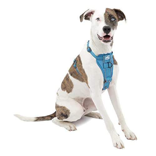 Kurgo TRU-Fit Smart Harness, Dog Harness Pet Walking Harness Quick Release Buckles, Front D-Ring for No Pull Training, Includes Dog Seat Belt Tether (Blue, Medium) von Kurgo