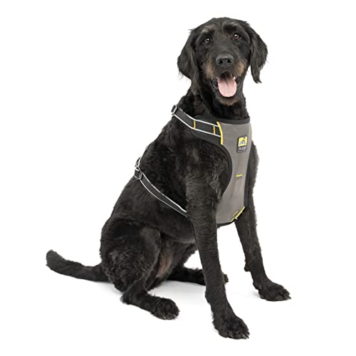 Kurgo Impact Hunde-Autogeschirr, Crashtest-geprüft für mehr Sicherheit, Für Hunde von 23-34 kg geeignet, Größe L, Schwarz von Kurgo