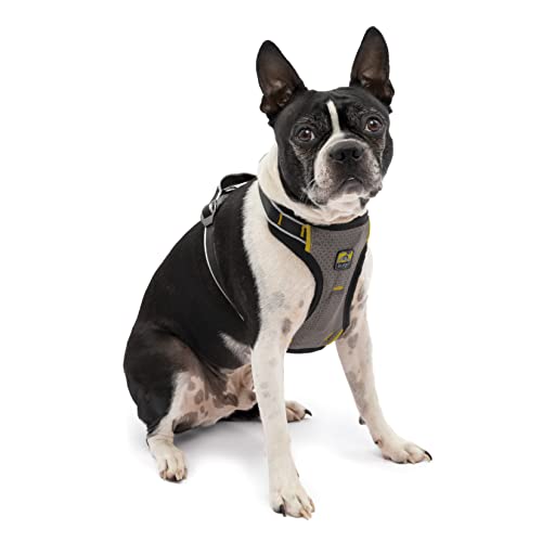 Kurgo Impact Hunde-Autogeschirr, Crashtest-geprüft für mehr Sicherheit, Für Hunde von 5-11 kg geeignet, Größe S, Schwarz von Kurgo