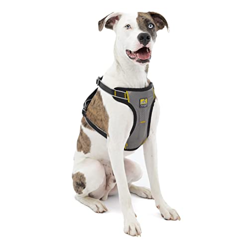 Kurgo Impact Hunde-Autogeschirr, Crashtest-geprüft für mehr Sicherheit, Für Hunde von 11-23 kg geeignet, Größe M, Schwarz von Kurgo