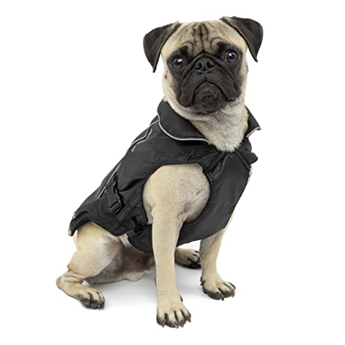 Kurgo North Country wasserdichter Hundemantel, Mit Fleece-Futter, LED-Licht für Nachtsichtbarkeit, Größe S, Schwarz Kurgo North Country wasserdichter Hundemantel, Mit Fleece-Futter, LED-Licht für Nachtsichtbarkeit, Größe S, Schwarz von Kurgo
