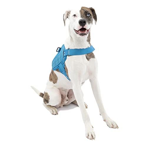 Kurgo RSG Townie Hundegeschirr, Einfaches Anlegen und Abnehmen, Einstellbare Brust- und Bauchgurte, Größe M, Blau von Kurgo