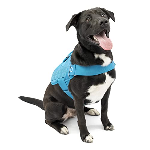 Kurgo RSG Townie Hundegeschirr, Einfaches Anlegen und Abnehmen, Einstellbare Brust- und Bauchgurte, Größe L, Blau von Kurgo