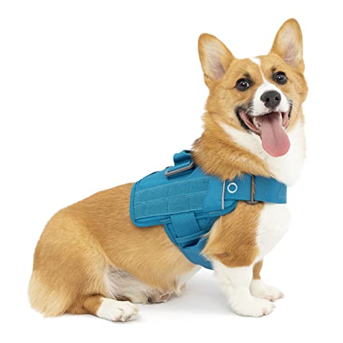 Kurgo RSG Townie Hundegeschirr, Einfaches Anlegen und Abnehmen, Einstellbare Brust- und Bauchgurte, Größe XL, Blau von Kurgo