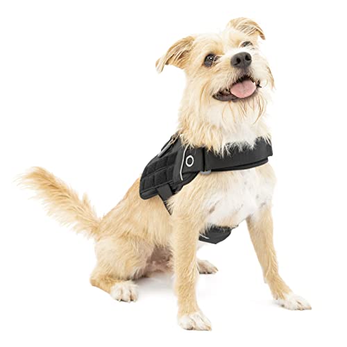 Kurgo RSG Townie Hundegeschirr, Einfaches Anlegen und Abnehmen, Einstellbare Brust- und Bauchgurte, Größe S, Schwarz Kurgo RSG Townie Hundegeschirr, Einfaches Anlegen und Abnehmen, Einstellbare Brust- und Bauchgurte, Größe S, Schwarz von Kurgo