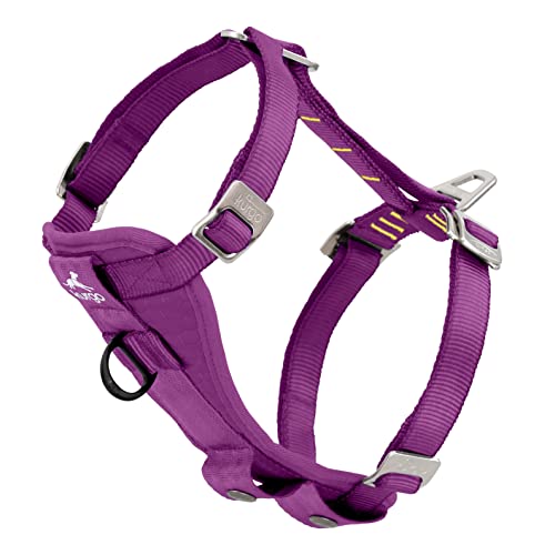 Kurgo TRU-Fit Autosicherheitsgeschirr für Hunde, Mit gepolstertem Brustteil und D-Ring, Mit Autogurt, Größe XS, Lila Kurgo TRU-Fit Autosicherheitsgeschirr für Hunde, Mit gepolstertem Brustteil und D-Ring, Mit Autogurt, Größe XS, Lila von Kurgo