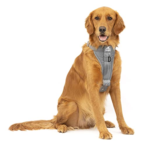 Kurgo Tru-Fit Hundegeschirr, Crash-Test-erprobtes Auto-Sicherheitsgurt, Für Hunde von 2 bis 5 kg, Größe L, Grau von Kurgo