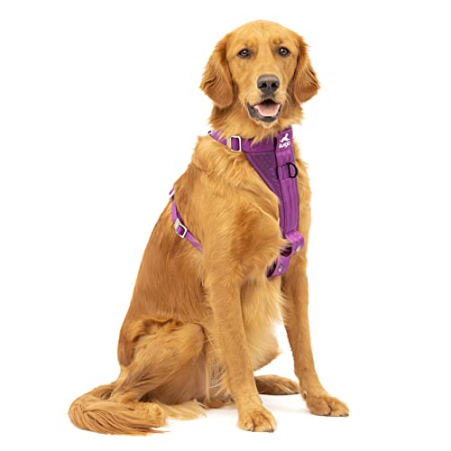 Kurgo TRU-Fit Hundegeschirr, Crash-Test-erprobtes Auto-Sicherheitsgurt, Für Hunde von 2 bis 5 kg, Größe L, Lila Kurgo TRU-Fit Hundegeschirr, Crash-Test-erprobtes Auto-Sicherheitsgurt, Für Hunde von 2 bis 5 kg, Größe L, Lila von Kurgo