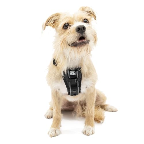 Kurgo TRU-Fit – Intelligentes Hundegeschirr, Trainingsgeschirr, Anti-Zieh-Geschirr inkl. Sicherheitsgurt – Schwarz, S Kurgo TRU-Fit – Intelligentes Hundegeschirr, Trainingsgeschirr, Anti-Zieh-Geschirr inkl. Sicherheitsgurt – Schwarz, S von Kurgo