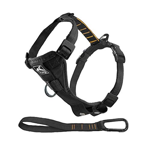 Kurgo Tru-Fit Smart Hundegeschirr, Mit gepolstertem Brustteil und D-Ring, Inklusive Autosicherheitsgurt, Größe XS, Schwarz Kurgo Tru-Fit Smart Hundegeschirr, Mit gepolstertem Brustteil und D-Ring, Inklusive Autosicherheitsgurt, Größe XS, Schwarz von Kurgo