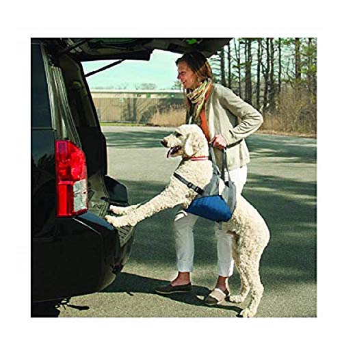 Kurgo Up and About Hebegeschirr für Hunde, ergonomisches Design, Hilft dem Hund beim Treppensteigen oder ins Auto, für Hunde zwischen 23 kg und 41 kg, Ideal für kranke und alte Hunde von Kurgo