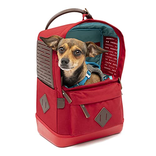 Nomad Hunderucksack, Rot von Kurgo