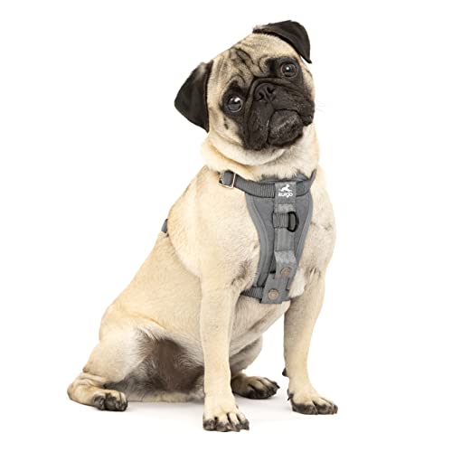 Kurgo Tru-Fit Hundegeschirr, Crash-Test-erprobtes Auto-Sicherheitsgurt, Für Hunde von 2 bis 5 kg, Größe S, Grau von Kurgo