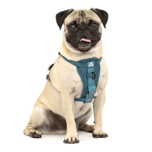 Kurgo Tru-Fit Hundegeschirr, Crash-Test-erprobtes Auto-Sicherheitsgurt, Für Hunde von 2 bis 5 kg, Größe S, Tinte Blau von Kurgo