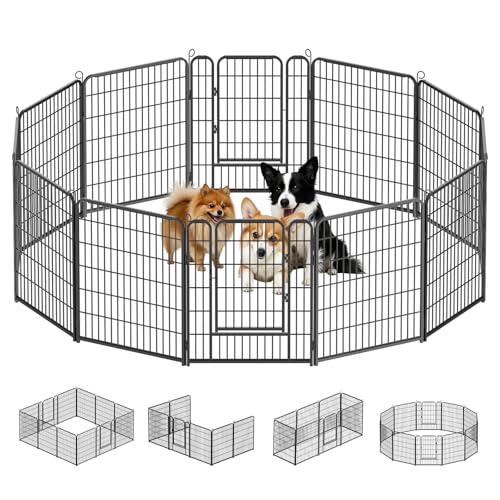 Kuro sagol Welpenauslauf 80cm hoch - Gehege mit automatischer Verriegelung - Ideal für Hunde, Katzen, Kaninchen - Perfekt für den Garten und die Spielzone im Freien - 12tlg Kuro sagol Welpenauslauf 80cm hoch - Gehege mit automatischer Verriegelung - Ideal für Hunde, Katzen, Kaninchen - Perfekt für den Garten und die Spielzone im Freien - 12tlg von Kuro-sagol