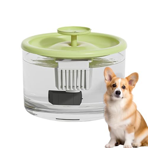 Kustimantu Auto -Katzenwasserspender, automatischer Katzenwasserspender | Pet Water Dispenser Feeder Station - Trinkbrunnenhundwasserer, große Kapazität Haustiervorräte für Innenkatzen, Hunde Kustimantu Auto -Katzenwasserspender, automatischer Katzenwasserspender | Pet Water Dispenser Feeder Station - Trinkbrunnenhundwasserer, große Kapazität Haustiervorräte für Innenkatzen, Hunde von Kustimantu