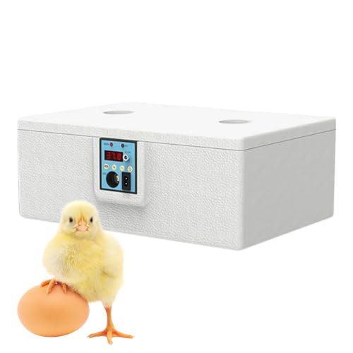 Kustimantu Brutkasten für Wachteleier, Brutkasten mit Temperaturkontrolle für Haushaltung, Geflügelfarm, Labor und Klassenzimmer Kustimantu Brutkasten für Wachteleier, Brutkasten mit Temperaturkontrolle für Haushaltung, Geflügelfarm, Labor und Klassenzimmer von Kustimantu