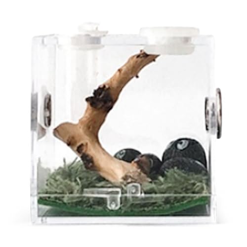 Kustimantu Mini-Insektenbox – Acryl, transparent, Reptilien, Habitat Case, für Spider Lizard Geckos Schnecken, tragbarer Lautsprecher für Reptilien aus Acryl – Zuchtbehälter mit Loch Kustimantu Mini-Insektenbox – Acryl, transparent, Reptilien, Habitat Case, für Spider Lizard Geckos Schnecken, tragbarer Lautsprecher für Reptilien aus Acryl – Zuchtbehälter mit Loch von Kustimantu
