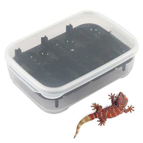 Kustimantu Reptilien Terrarium - 14-Fach Gecko Brutbox | Transparente Zuchtbox Reptilien Für Klettern Transport Zuhause Innenbereich Spinnen Skorpione Kustimantu Reptilien Terrarium - 14-Fach Gecko Brutbox | Transparente Zuchtbox Reptilien Für Klettern Transport Zuhause Innenbereich Spinnen Skorpione von Kustimantu
