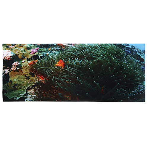 Aquarium Hintergrund, PVC Adhesive Coral Small Fish Pattern Aquarium Hintergrund Poster Aufkleber Aquarium Dekoration(61 * 30cm) von Kuuleyn