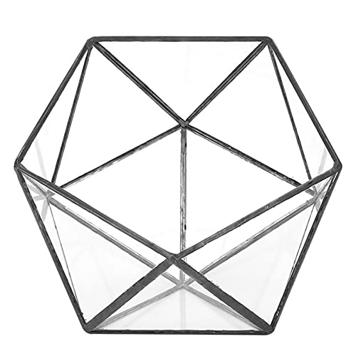 Geometrisches Terrarium, Glas-Pflanzgefäß, Einzigartiger Geometrischer Glas-Pflanzgefäß, Landschaftsdekoration Für Sukkulenten, Moosfarnpflanzen von Kuuleyn