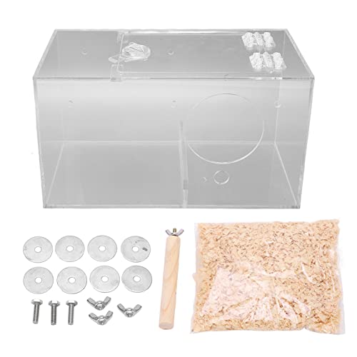 Kuuleyn Garden Bird Feeder,Acrylic Bird Breeding Box Transparent Parrot Nesting Box with Standing Pole and Padding for All Seasons Outdoor Bird Feeder (S 20cm / 7.9in) von Kuuleyn