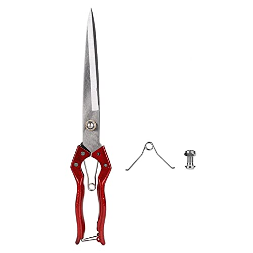 Schafschere, 5,7 Zoll Klinge aus Kohlenstoffstahl, 13,4 Zoll Lange manuelle Schafschere Federbelastete Schafwollschere Schafschere, 5,7 Zoll Klinge aus Kohlenstoffstahl, 13,4 Zoll Lange manuelle Schafschere Federbelastete Schafwollschere von Kuuleyn