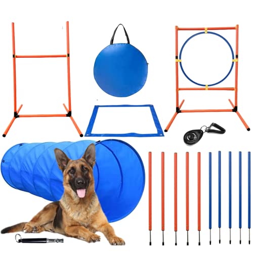 Kvittra Hunde-Agility-Trainingsausrüstung – Starter-Set für Hunde-Hindernisparcours-Training – Outdoor-Spiele für Haustiere mit Tunnel, Webstangen, Verstellbarer Hürde, Sprungring, Pausenbox von Kvittra